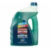 Liquido Radiatori Verde -20° +121° AREXONS Protettivo Radiatori + Imbuto 4,5 L -Offerta economica Michelin 51912717 1