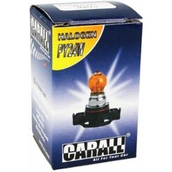 Lampada Alogena PY24W 12V 24W Arancione Amber Per Frecce Anteriore Audi R8 BMW X3 X5 X6 Z4 Fiat 500 Bravo Renault Clio Megane -Offerta economica Michelin 54398211 2