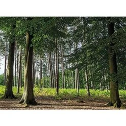 Foppapedretti Cover Per Seggiolino Auto Best Duofix, Beige -Offerta economica Michelin 70800090 3