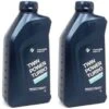 2 X BMW 5W30 Twinpower Turbo Longlife-04 Olio Motore 1 LT -Offerta economica Michelin 91082697 1