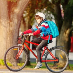 Relaxdays Reti Portapacchi Per Moto E Biciclette, Set Da 2 Retine A Ragno, Corde Elastiche, 25 X 25 Cm, 6 Ganci, Nero -Offerta economica Michelin 94984075 2